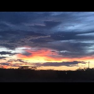 Meet your Posher, Marlene